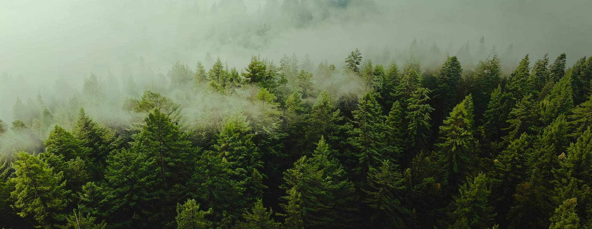 Nantong Sufang Tekstil Co, Ltd